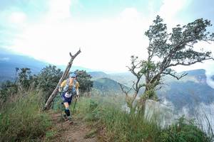 BIB: 
                            <button type="button" onclick="openModal(22372205)" class="btn btn-primary btn-sm float-right btn-popup" data-toggle="modal" data-target=".modal-high-quality">
                        <i class="fas fa-shopping-cart"></i> Add to Cart
                    </button>
                                            <button type="button" onclick="isThisMe(22372205, true)" class="btn btn-success btn-sm float-right btn-popup btn-isme hidden" data-toggle="tooltip" data-placement="bottom" title="นี่คือรูปของคุณใช่ไหม คลิกที่นี่เพื่อเอาเข้าอัลบั้ม">
                        <i class="fas fa-plus"></i> Add to album
                    </button>
                    <button type="button" onclick="isThisMe(22372205, false)" class="btn btn-warning btn-sm float-right btn-popup btn-isnotme hidden">
                        <i class="fas fa-ban"></i> Remove from album
                    </button>